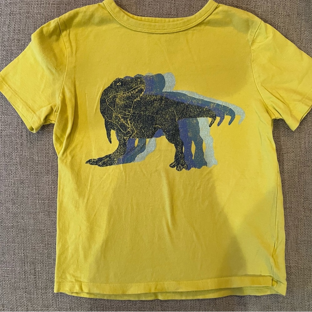 Dino T-Shirt Bundle 🦕 - Picture 8 of 9